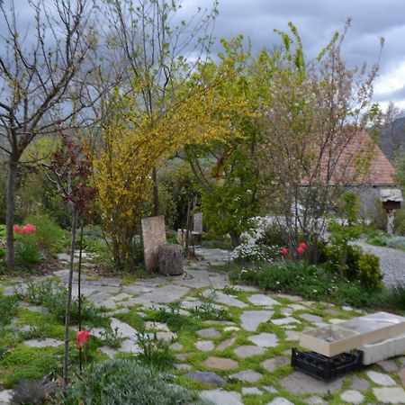 Petit Appartement En Montagne Saint-Julien-en-Champsaur Екстер'єр фото